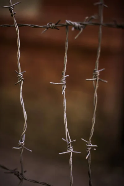 Stacheldraht Einem Zaun — Stockfoto
