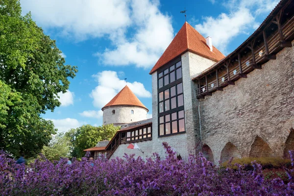 Viejo Castillo Ciudad Rothenburg Der Tauber Rusia — Foto de Stock