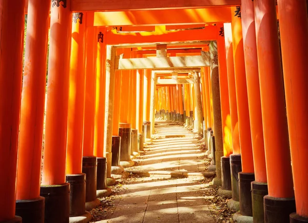 Pohled Brány Torii Fushimi Inari Shrine Známé Místo Kjótu Japonsko — Stock fotografie
