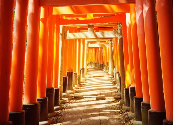 Pohled Brány Torii Fushimi Inari Shrine Známé Místo Kjótu Japonsko — Stock fotografie