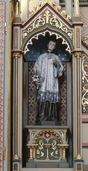 Statuia Aloysius Altarul Fecioarei Lourdes Din Biserica Matei Din Stitar — Fotografie, imagine de stoc