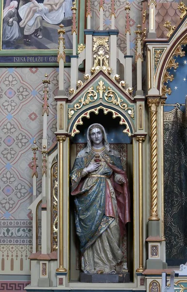 Inmaculado Corazón María Estatua Sagrado Corazón Jesús Altar Iglesia San — Foto de Stock