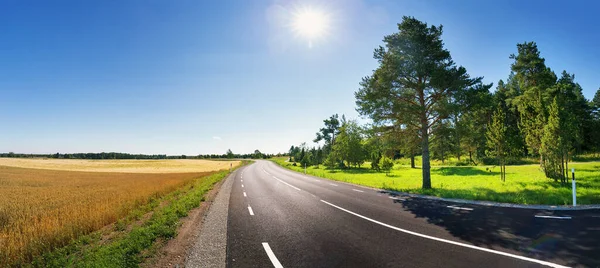 Asfaltweg Uitzicht Het Platteland Mooie Zonnige Dag — Stockfoto