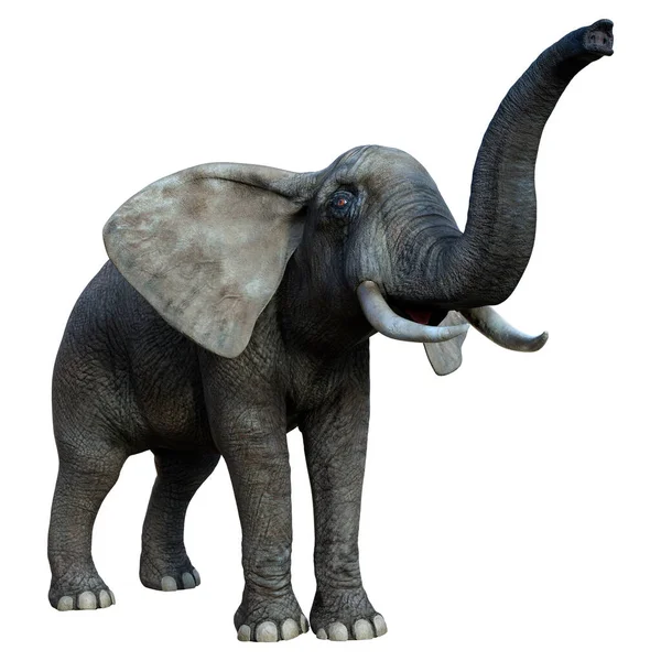 Vykreslení Velkého Afrického Slona Izolovaného Bílém Pozadí — Stock fotografie