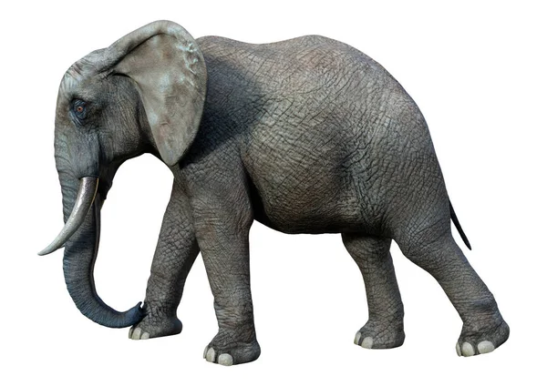 Vykreslení Velkého Afrického Slona Izolovaného Bílém Pozadí — Stock fotografie