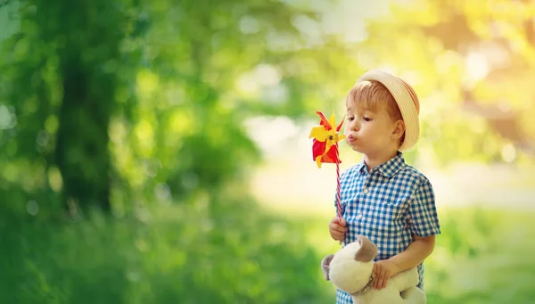 Gelukkige Kleine Jongen Gras Fieald Met Paardebloemen Zonnige Zomeravond Kind — Stockfoto