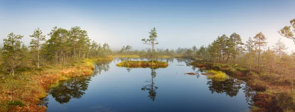 Viru Pântanos Parque Nacional Lahemaa Verão — Fotografia de Stock