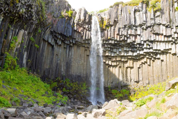Svartifoss Padá Letní Sezóně Pohled Island Islandská Krajina — Stock fotografie