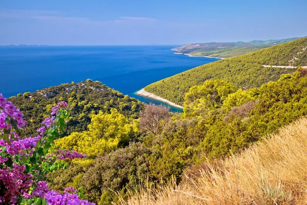 Côte Île Korcula Pupnatska Luka Cove Vue Colline Archipel Dalmatie — Photo