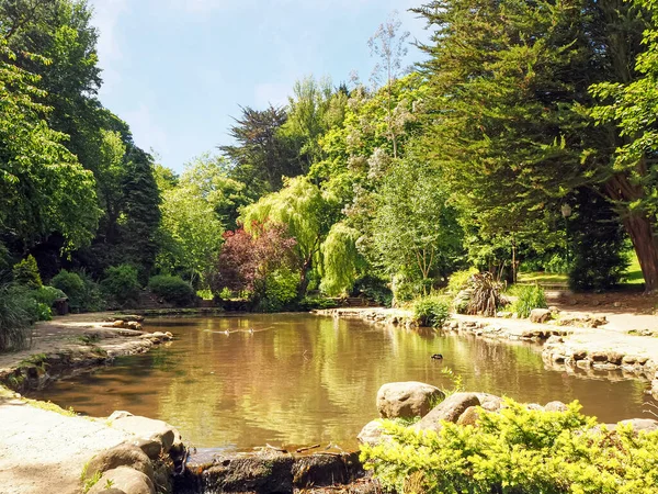Schöner Teich Mit Enten Umgeben Von Bäumen Peasholm Park Scarborough — Stockfoto