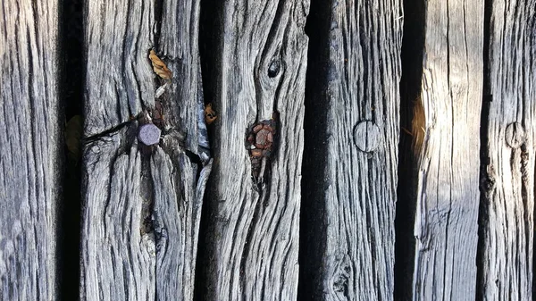 Старый Деревянный Забор Рисунком Дерева — стоковое фото