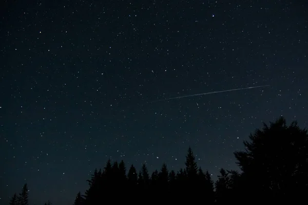 Nachtelijke Hemel Vol Met Start Met Silhouetboom Het Bos — Stockfoto