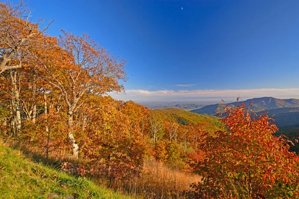Floresta Queda Colorida Dia Ensolarado Nas Montanhas Parque Nacional Shenanadoah — Fotografia de Stock