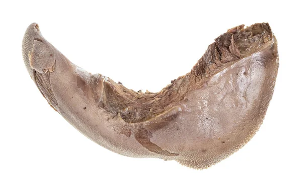 Сырая Устричная Рыба Белом Фоне — стоковое фото