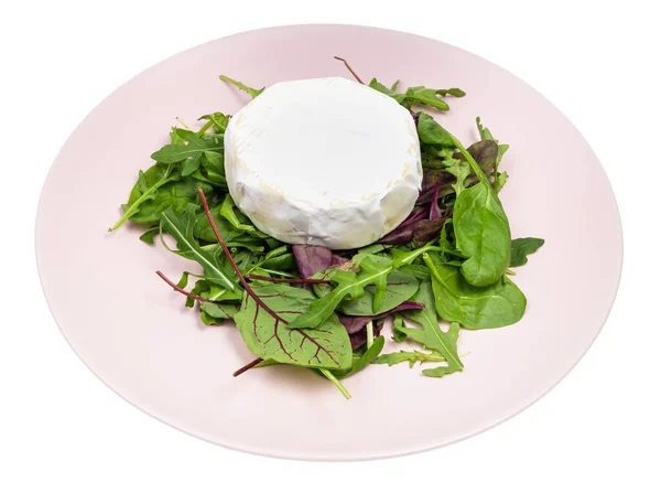 Soft Cheese Fresh Greens Pink Plate Isolated White Background — Stock Photo, Image