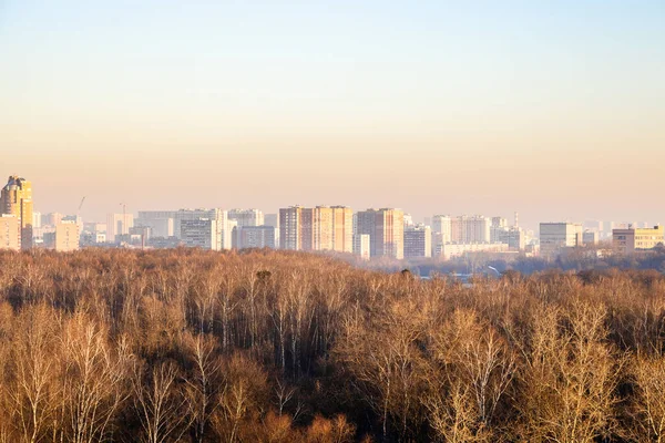 Округ Москви Міський Парк Освітлений Рожевим Сонцем Холодного Зимового Ранку — стокове фото