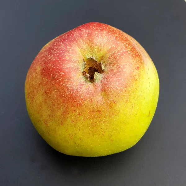 Altlaender Pfannkuchen Alte Apfelsorten Apfel Malus Domestica —  Fotos de Stock