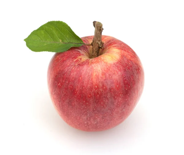 Manzana Roja Aislada Sobre Fondo Blanco — Foto de Stock