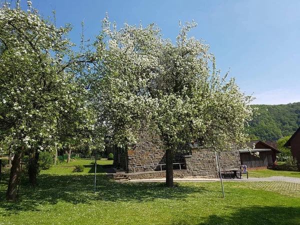 Vacker Utsikt Över Landsbygden — Stockfoto