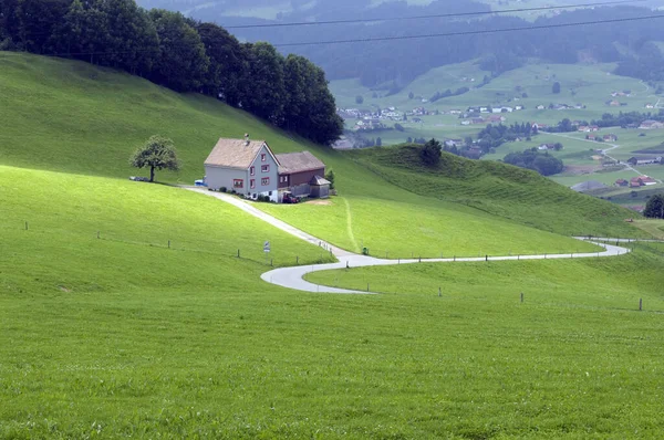 Grünes Gras Den Bergen — Stockfoto