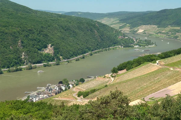 Assmannshausen Burg Rheinstein Blick Rhein — Φωτογραφία Αρχείου