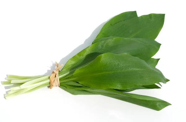 Cebola Verde Fresca Isolada Sobre Fundo Branco — Fotografia de Stock