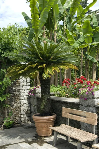 Schöner Garten Mit Blumen Und Pflanzen — Stockfoto