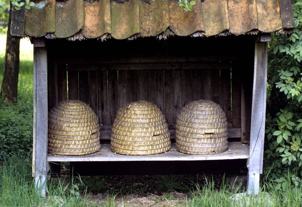 Plan Rapproché Panier Bois Avec Une Paille Dans Des Paniers — Photo