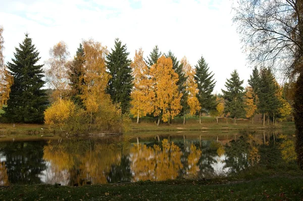 Paesaggio Autunnale Con Alberi Foglie Verdi — Foto Stock