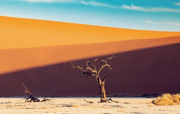Prachtig Kleurenpalet Van Schaduwen Verborgen Dode Vlei Landschap Namib Woestijn — Stockfoto