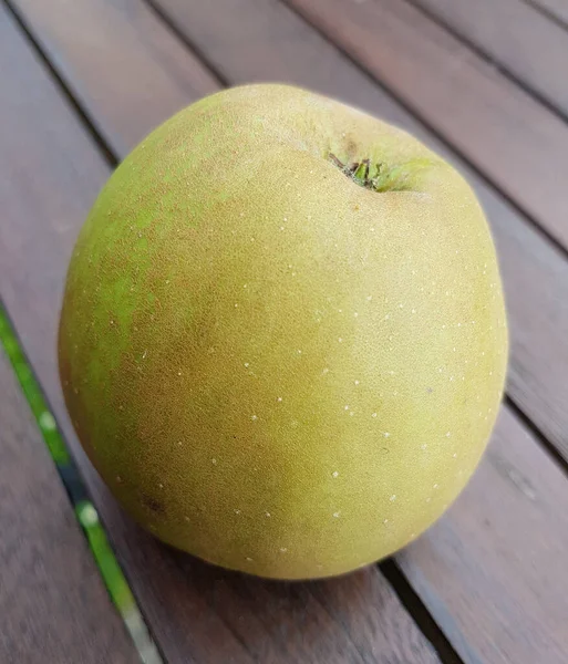 Boskoop Alte Apfelsorte Apfel Malus Domestica — Photo