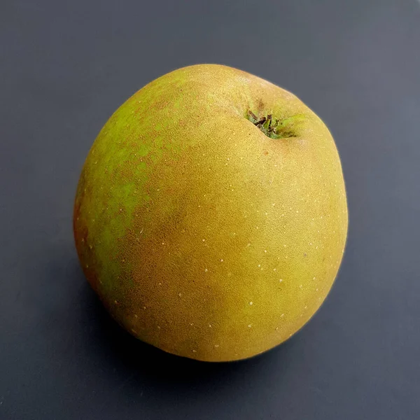 Boskoop Alte Apfelsorte Apfel Malus Domestica — Stockfoto