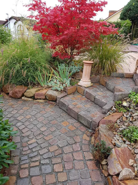 Faecherahorn Herbst Acer Palmatum Osakazuki Japonicum — Stock Fotó