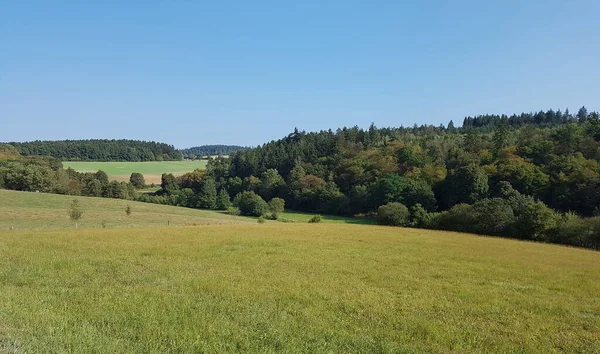 Wunderschöne Landschaft Mit Großen Grünen Bäumen Und Blauem Himmel — Stockfoto