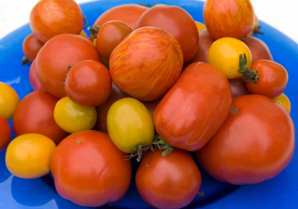 Tomates Rojos Frescos Sobre Fondo Blanco — Foto de Stock