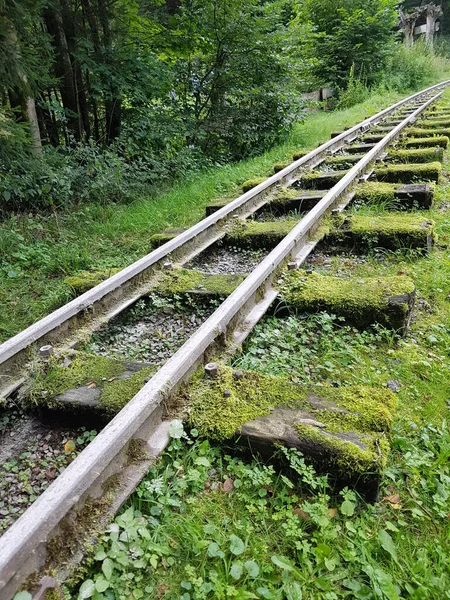 Schienen Moorbahn Schmalspur Bad Schwalbach — 스톡 사진