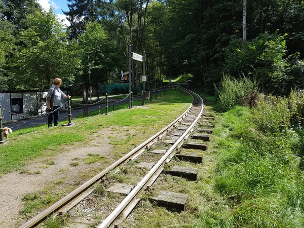 Schienen Moorbahn Schmalspur Bad Schwalbach — Stockfoto