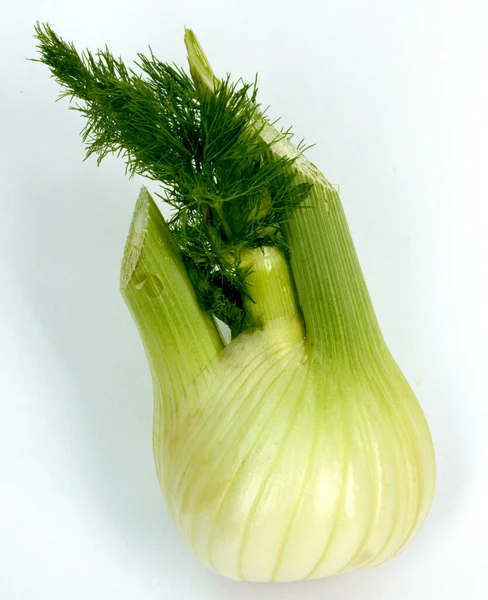 Cebolla Verde Fresca Sobre Fondo Blanco —  Fotos de Stock