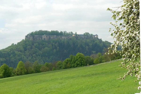 Burg Koenigstein Festung Elbsandsteingebirge — Fotografia de Stock