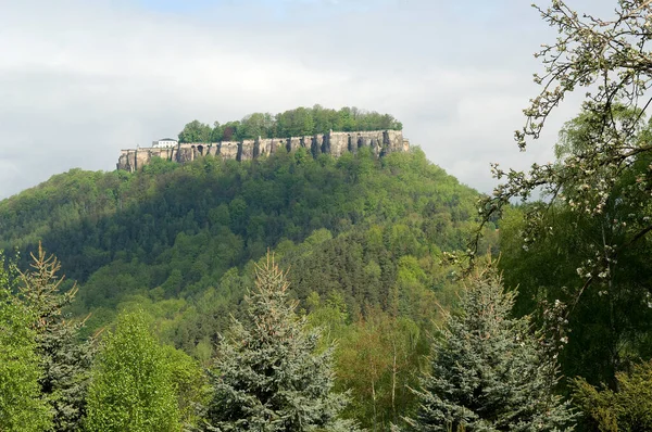 Burg Koenigstein Festung Elbsandsteingebirge — Stock Fotó