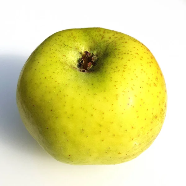 Filippa Sommerglocken Apfel Alte Apfelsorten Malus Domestica — Stok fotoğraf