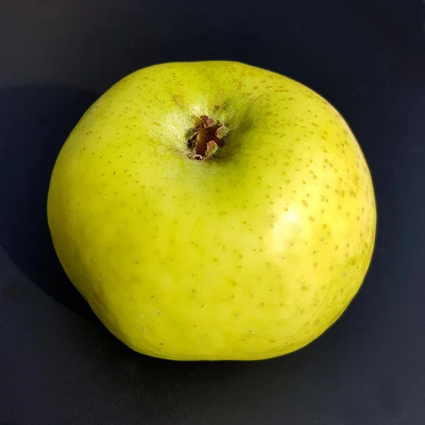 Filippa Sommerglocken Apfel Alte Apfelsorten Malus Domestica — Photo