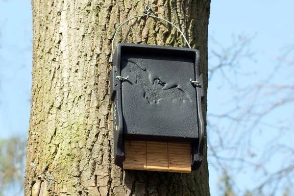 Vogelfutterhäuschen Auf Einem Baum Wald — Stockfoto
