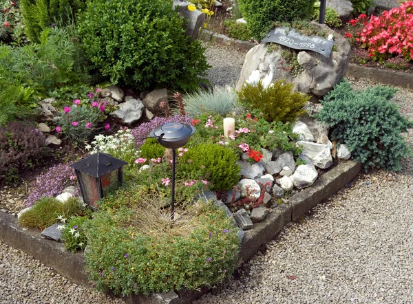 Schöner Garten Mit Blumen Und Pflanzen — Stockfoto