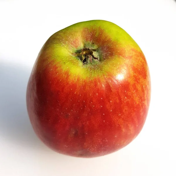 Freiburger Prinz Alte Apfelsorten Apfel Malus Domestica — Zdjęcie stockowe