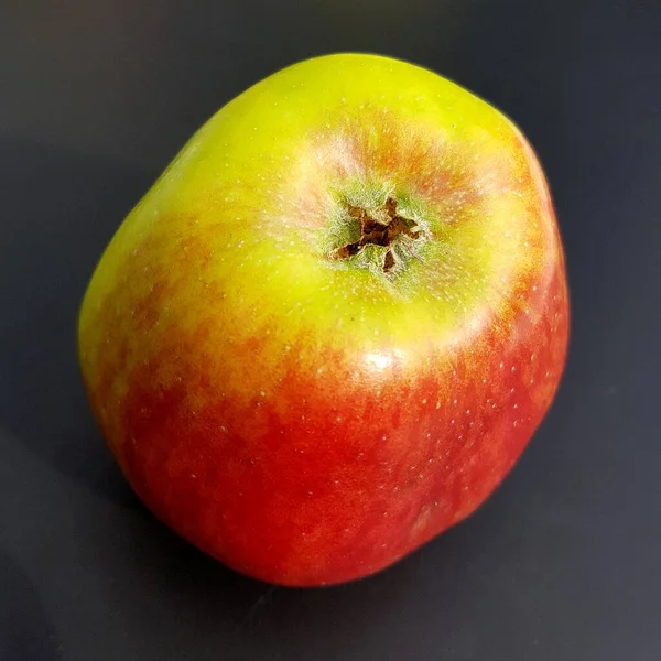 Freiburger Prinz Alte Apfelsorten Apfel Malus Domestica — Stockfoto