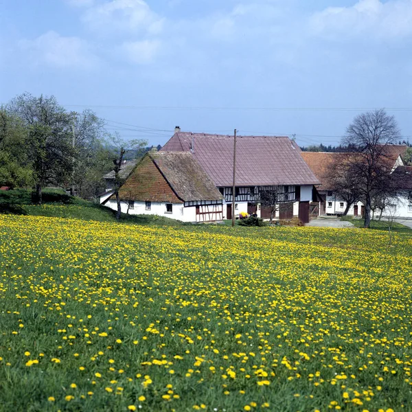 Schöne Aussicht Auf Die Landschaft — Stockfoto