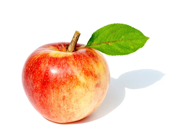 Červené Jablko Listy Izolované Bílém Pozadí — Stock fotografie