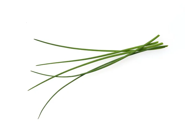 Schnittlauch Allium Scholenoprasum Ist Eine Wichtige Heil Und Medizinalpflanze 프랑크 — 스톡 사진