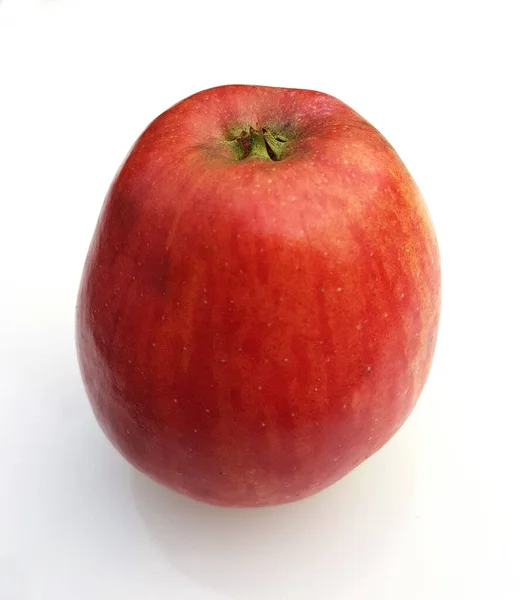 Schoener Von Haseldorf Apfel Malus Domestica Alte Apfelsorten — Foto Stock